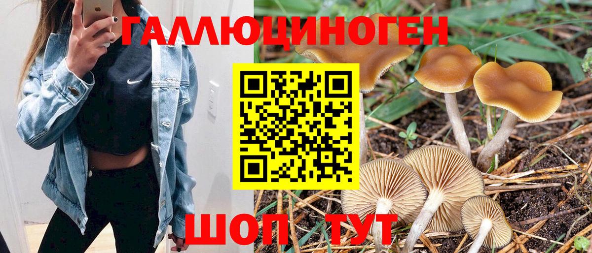 купить закладку  Псилоцибиновые грибы прущие грибы  Вход с VPN  Курган 